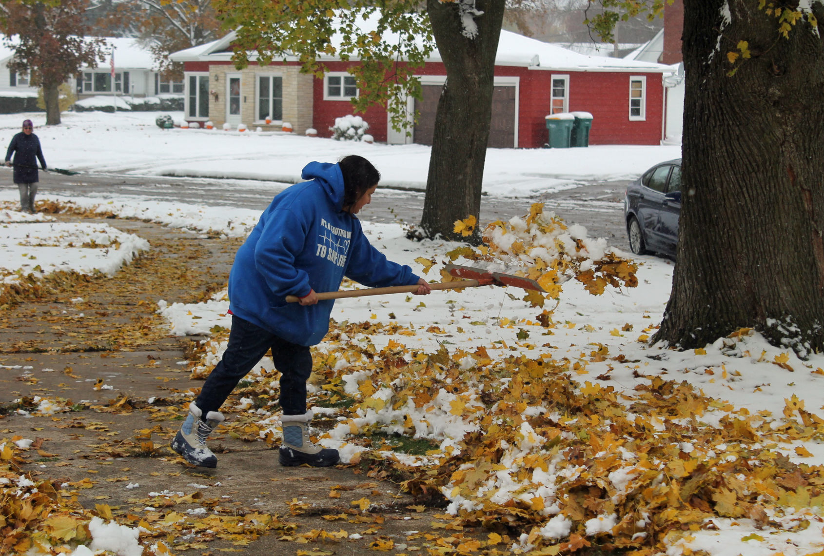 Seasonal mixture